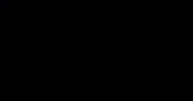 Birçok Satır Yayılmış Element Sıçrama Enerjisi Hareketi 3 Adım. Alfa kanalıyla 4K çözünürlüğü. Kullanımı kolay, projenize .mov dosyalarını bırakın.