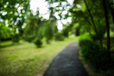 yeşil bokeh. bokeh ağacından. bulanık ağaç ve bokeh ağaç. Bokeh ile bulanık park