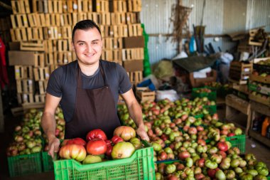 Kutuları bir sera satışlarda önce domates taşıyan çalışan adam