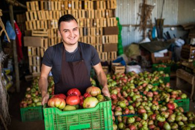 Kutuları bir sera satışlarda önce domates taşıyan çalışan adam
