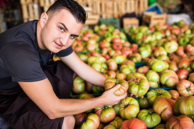 Mutlu çiftçi bir sera domates sıralamak ve Market Satılık hazırlamak