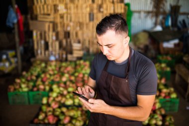 Genç sayma adamım veya telefonla sera toplanan domateslere miktarı yazmak.