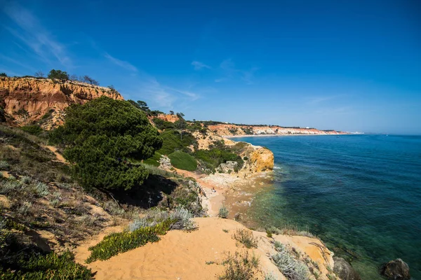 Güzel Falesia Beach Uçurum Gördüm Portekiz — Stok fotoğraf
