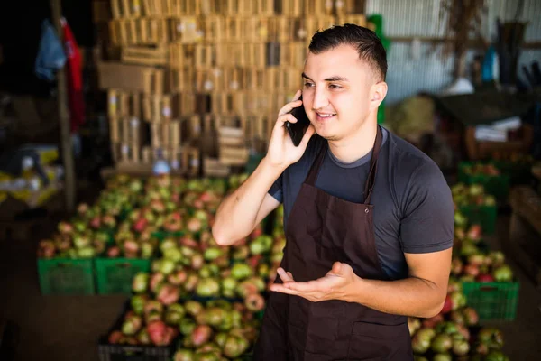 Young man speak on phone with costumers in front collect tomatoes boxes at greenhouse. Online phone sales of tomato orders of costumers family farm business.