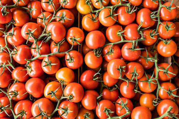 Group of ripe tomatoes forming a background