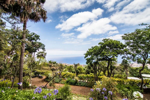Funchal, Madeira - Temmuz, 2018. Funchal, Madeira Adası ünlü Botanik Bahçesi