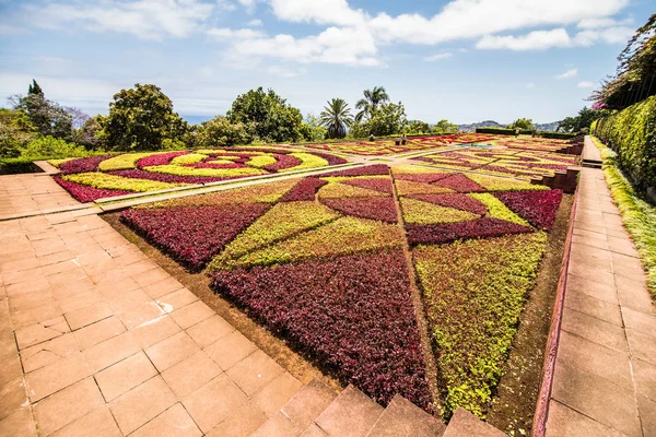 Funchal Portugal July 2018 Botanical Garden Monte Funchal Madeira — стокове фото