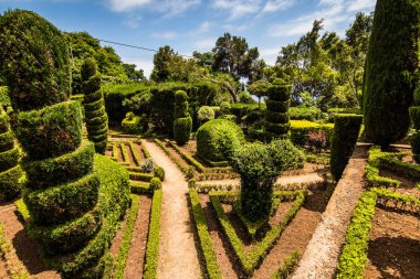 Funchal, Madeira - Temmuz, 2018. Funchal, Madeira Adası Portekiz ünlü Botanik Bahçesi