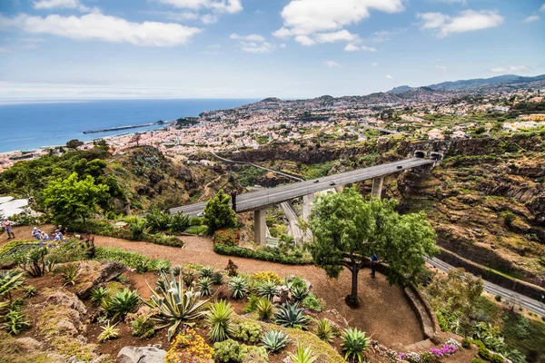 Isla Madeira Paisaje Típico Vista Panorámica Ciudad Funchal Desde Jardín — Foto de Stock