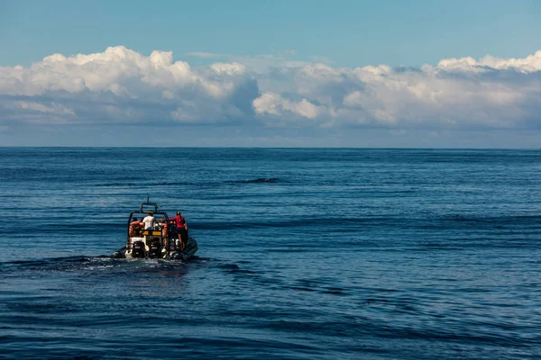 Ponta Del Gada San Miguel Azores Juny 2018 涉嫌观鲸船的游客 — 图库照片