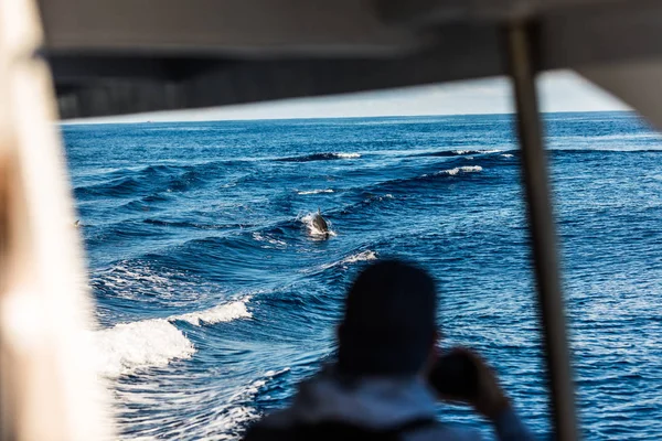 サンミゲル アゾレス Juny 2018 クジラウォッチングボートの観光 — ストック写真