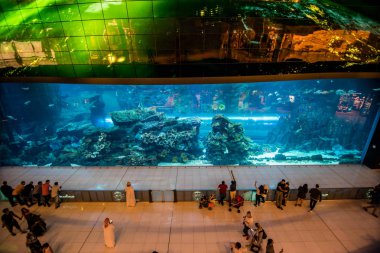 Dubai, Birleşik Arap Emirlikleri - Ekim, 2018: Dubai Mall alışveriş merkezine dünyanın en büyük alışveriş merkezi, Downtown Burj Dubai, akvaryum