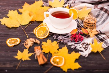 Gül çiçek kurutulmuş meyve çay bardağı, sonbahar yaprakları, tarçın, anason star, koniler, sonbahar kompozisyon. Üstten görünüm, düz yatıyordu