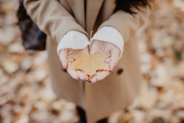 Sonbahar yaprakları Kız ellerinde. Yakın çekim.
