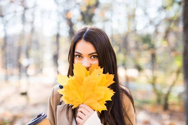 Schöne Frau Mit Herbstblättern Auf Herbst Natur Hintergrund — Stockfoto