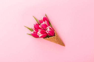 Pembe Lale pembe arka plan izole gofret Kupası'nda. Sevgililer günü, kadın gün ya da anneler günü için tebrik kartı. Bahar kavramı.