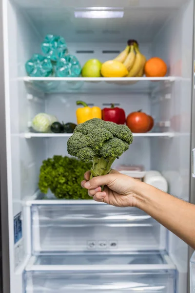 Las manos toman brócoli de la nevera abierta llena de frutas y verduras frescas y coloridas, concepto de nutrición saludable — Foto de Stock