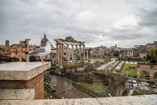 Rom, Italien - November 2018: Roman Forum i Rom, Italien, det är en av de största turistattraktionerna i Rom. Forntida arkitektur och stadsbild i historiska Rom. — Stockfoto