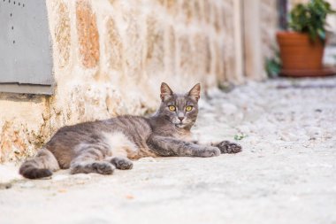 Dubrovnik, Hırvatistan - Temmuz 2019: Hırvatistan 'ın güneyindeki eski Dubrovnik kentinin eski sokakları.
