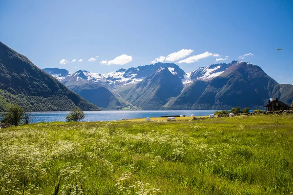 Standaldalen Tal Den Sunnmore Alpen More Romsdal Norwegen — Stockfoto