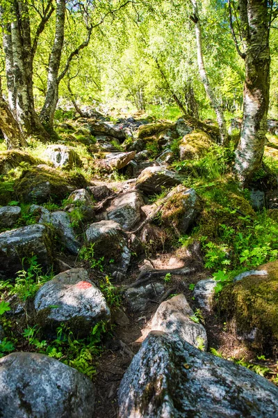 Hjorundfjord Alpi Sunnmore Vicino Trandal More Romsdal Norvegia — Foto Stock