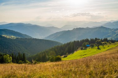 Muhteşem dağlar, Karpatlar 'daki muhteşem manzara, dağın yamacında sabah güneşi, Avrupa seyahati, batı Ukrayna, Avrupa