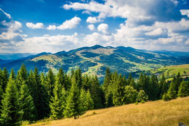 Ukrayna 'nın batısındaki Karpat Dağları.