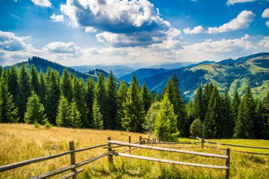 Muhteşem dağlar, Karpatlar 'daki muhteşem manzara, dağın yamacında sabah güneşi, Avrupa seyahati, batı Ukrayna, Avrupa