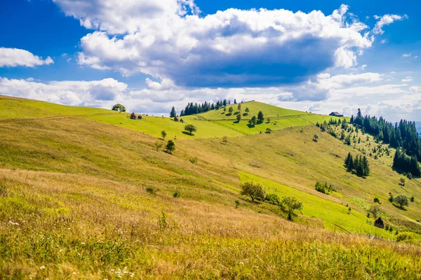 Чудовий Сонячний День Гірському Ландшафті Карпат Україна Європа Світ Краси — стокове фото