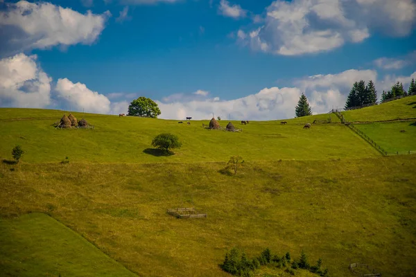 Maravilhosa Paisagem Das Montanhas Dos Cárpatos Ucranianos — Fotografia de Stock