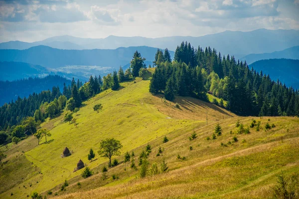 Панорама Карпатських Гір Літній Сонячний День — стокове фото