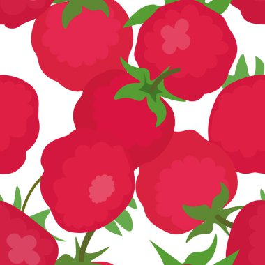 Beyaz arka planda ahududu. Vektörsüz desen.