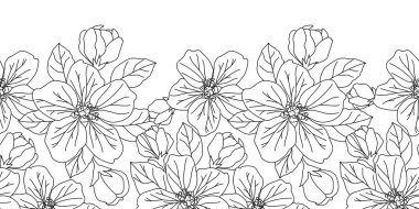 Elma çiçekleriyle kusursuz bir sınır. Beyaz arka planda yaprakları olan çiçekler. Doğrusal çizim.