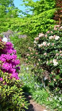 Leuven, Belçika - 26 Nisan 2025: Leuven, Belçika 'daki tarihi botanik bahçesi, nadir bitkiler, sakin yollar ve güzel seralar.