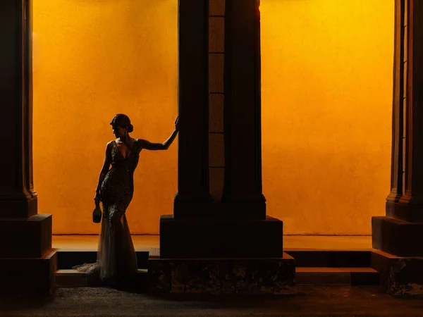 Dark Figure Silhouette Elegant Seductive Smartly Dressed Woman Expressive Sparkling — Stock Photo, Image