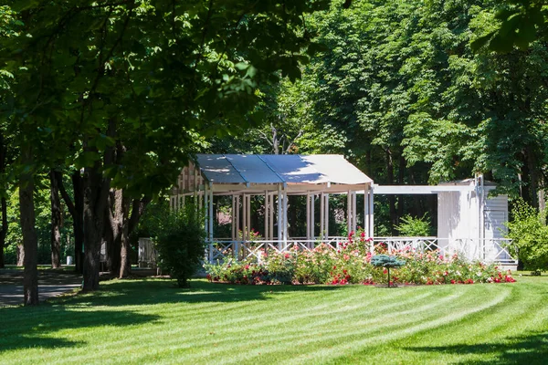 Zomer Prieel Met Bloemen Het Stadspark Stockafbeelding