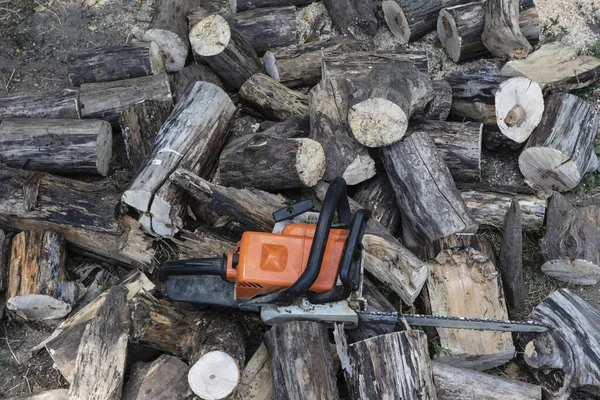 Lots Firewood Chainsaw — Stock Photo, Image