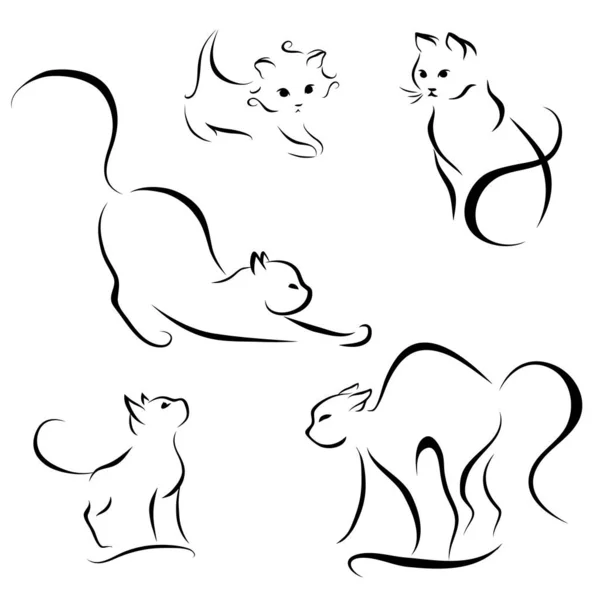 Cat abstract lijnen — Stockvector