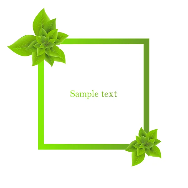 Design square element with green leaves. — Stock Vector