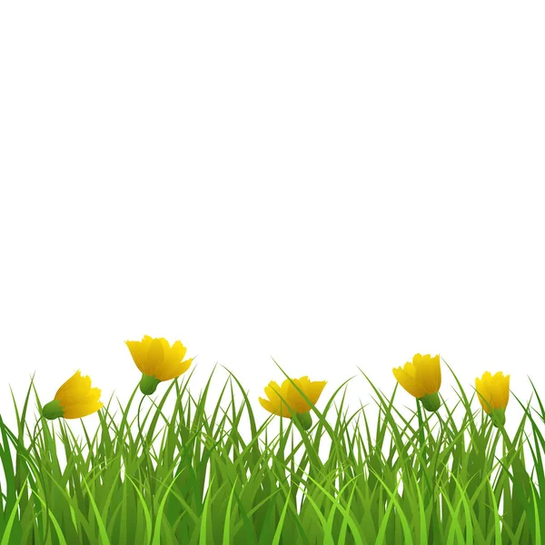Hierba con flores amarillas — Vector de stock