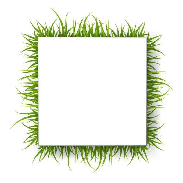 White square with green grass, vector. The grass is on the edge of the square — 스톡 벡터