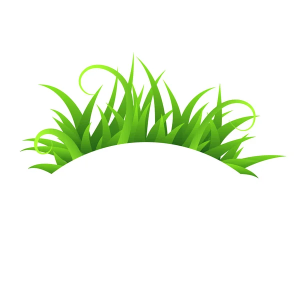 緑色の柔らかい草、白い背景に隔離、ベクトルイラスト — ストックベクタ