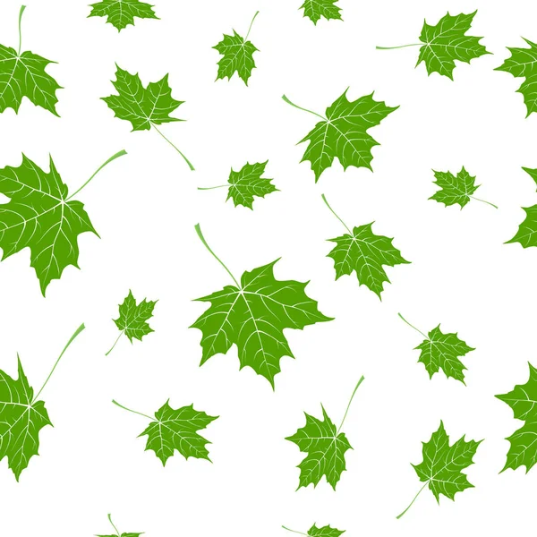 Feuilles d'érable tombant, feuilles vertes sur fond blanc. seamle — Image vectorielle