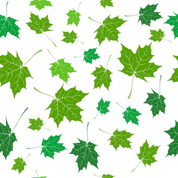 Feuilles d'érable tombant, feuilles vertes sur fond blanc. seamle — Image vectorielle