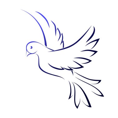 Güvercin görüntüsü, vektör. Uçan kuş, çizgiler. Bir kuş vektör Illustration