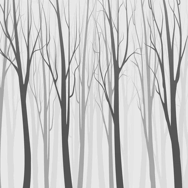 Pozadí s lesem a stromy jsou šedivé. Vektor na bílém pozadí. — Stockový vektor