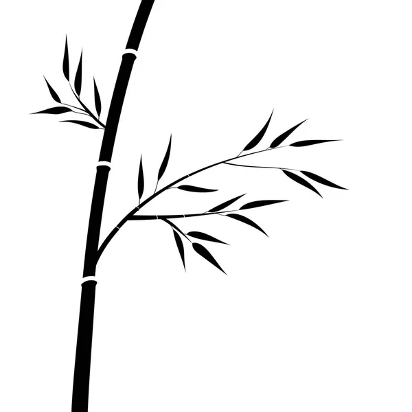 Bamboo isolated on white background .. Black branches on white background. — Stock Vector