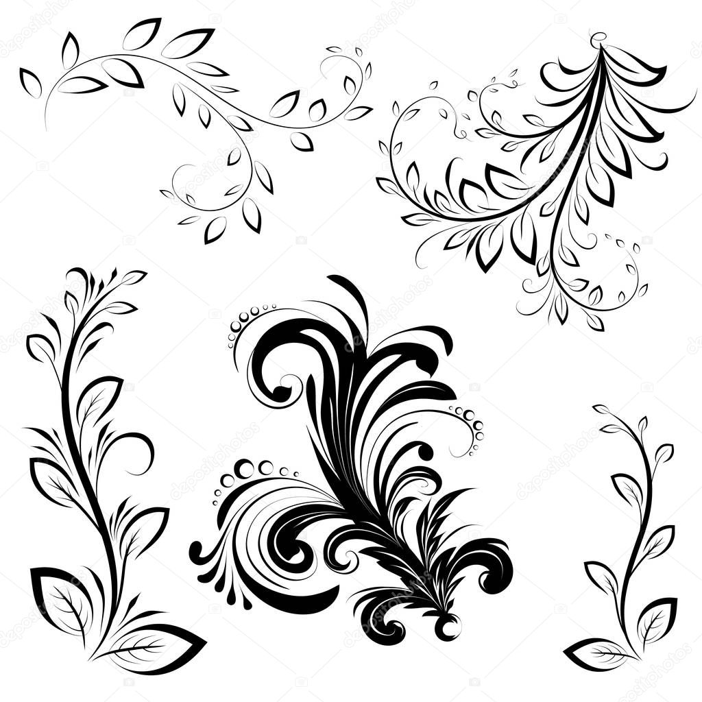 Ornate, calligraphic design elements with leaves. Decorative twists. design elements.