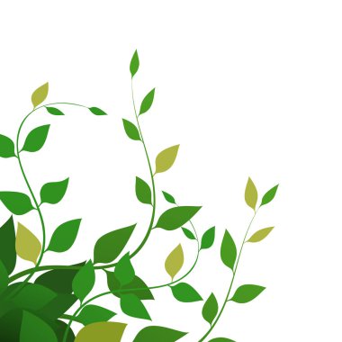 Vektör. Yeşil yapraklı arka plan, vektör çizimi. İnce dallar