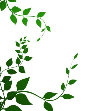 Yeşil yaprakları ile Arka Plan , vektör illüstrasyon. İnce dallar